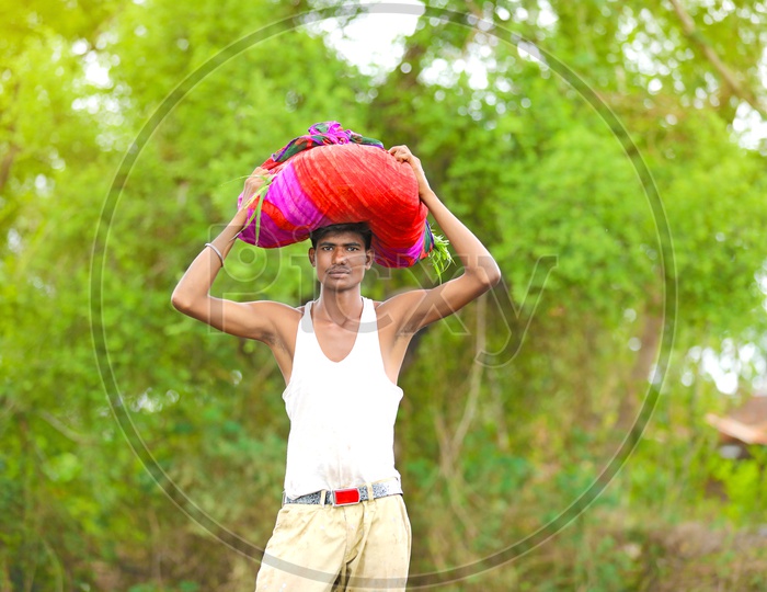 Indian Farmer in Agriculture Field