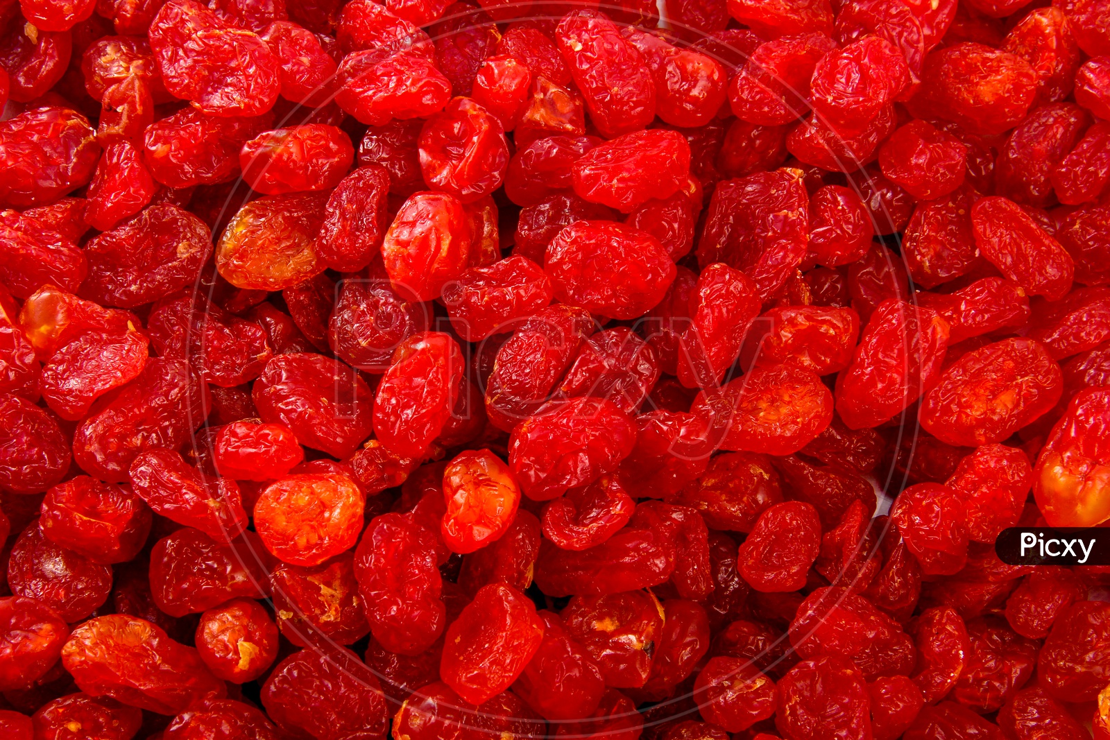 Dried Red Berries Composition Shot Forming a Background