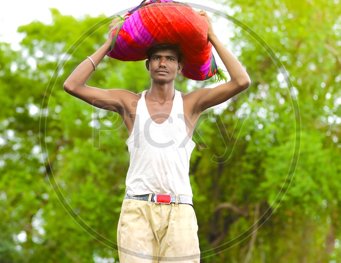 Indian Farmer in Agriculture Field