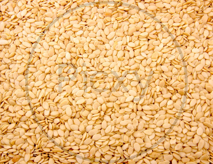 Dried Muskmelon Seeds Composition Shot Forming a Background