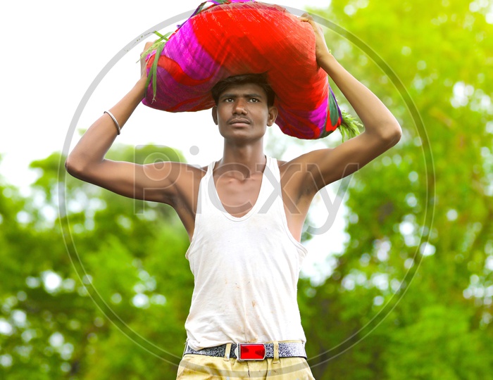 Indian Farmer at Agriculture Field