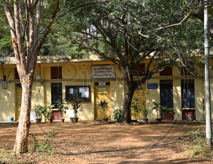 Centre for Dalit and Adivasi Studies & Translation