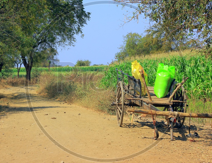 A Corn Field With Cart along Side