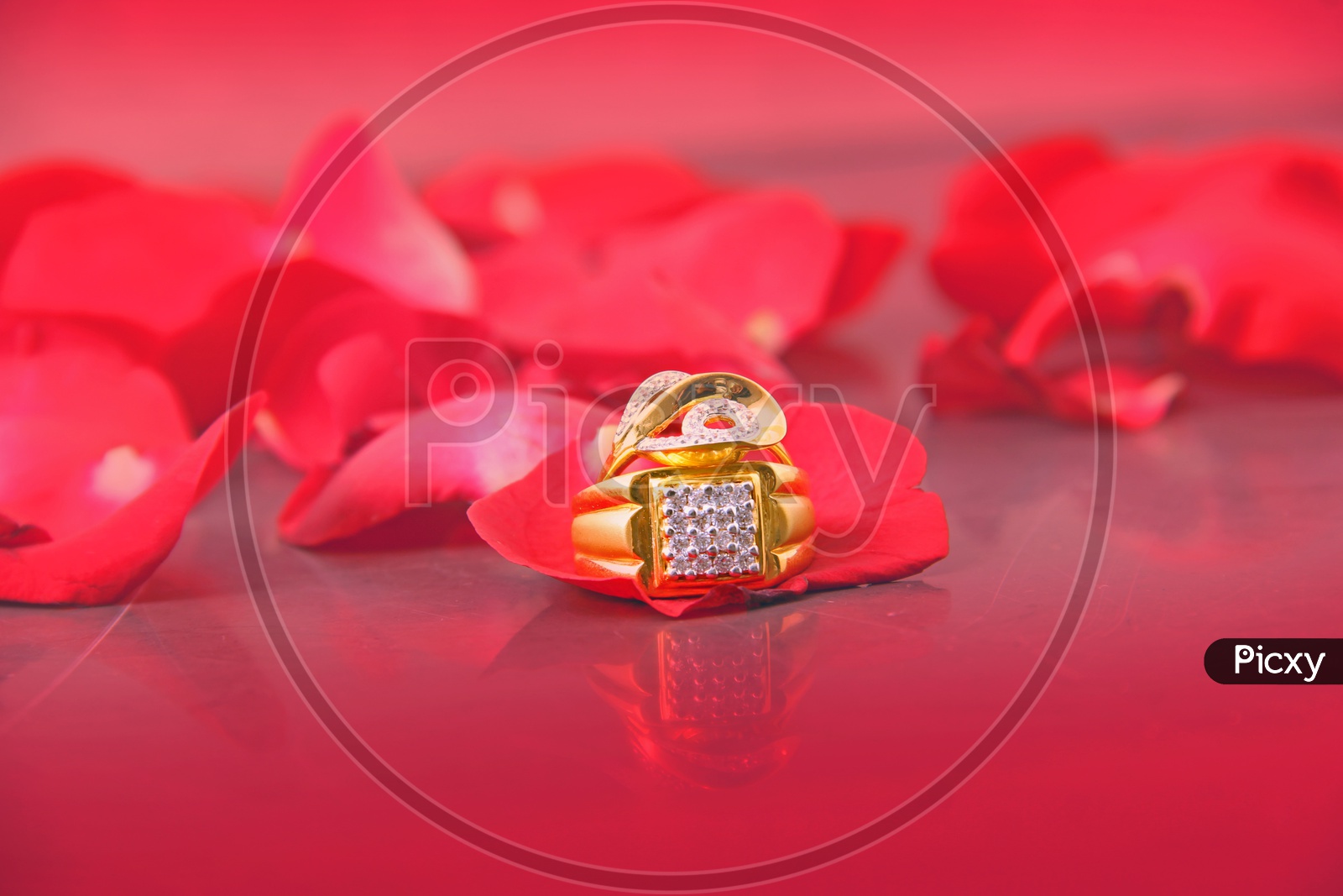 Couple Rings In Indian  Wedding With Rose petals In Backdrop