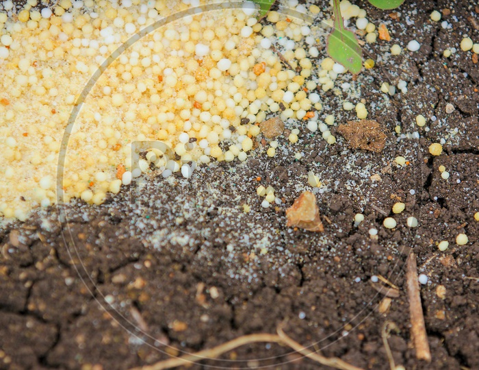 Granulated Fertilizers on Soil Closeup Shot