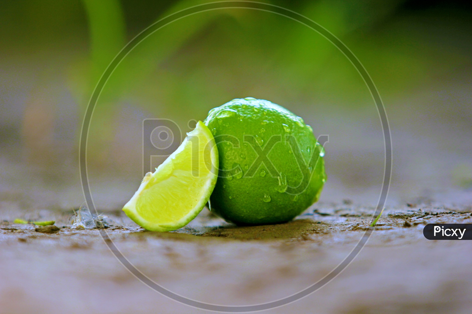 Lemon Cutted  On a Soil  Background Closeup Shot