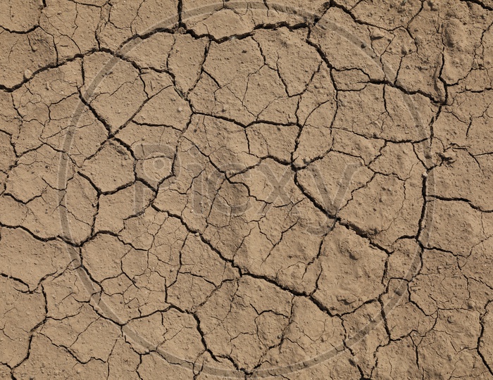 A Dried Agricultural Field with Cracks Formed on it Composition Shot Forming a Background