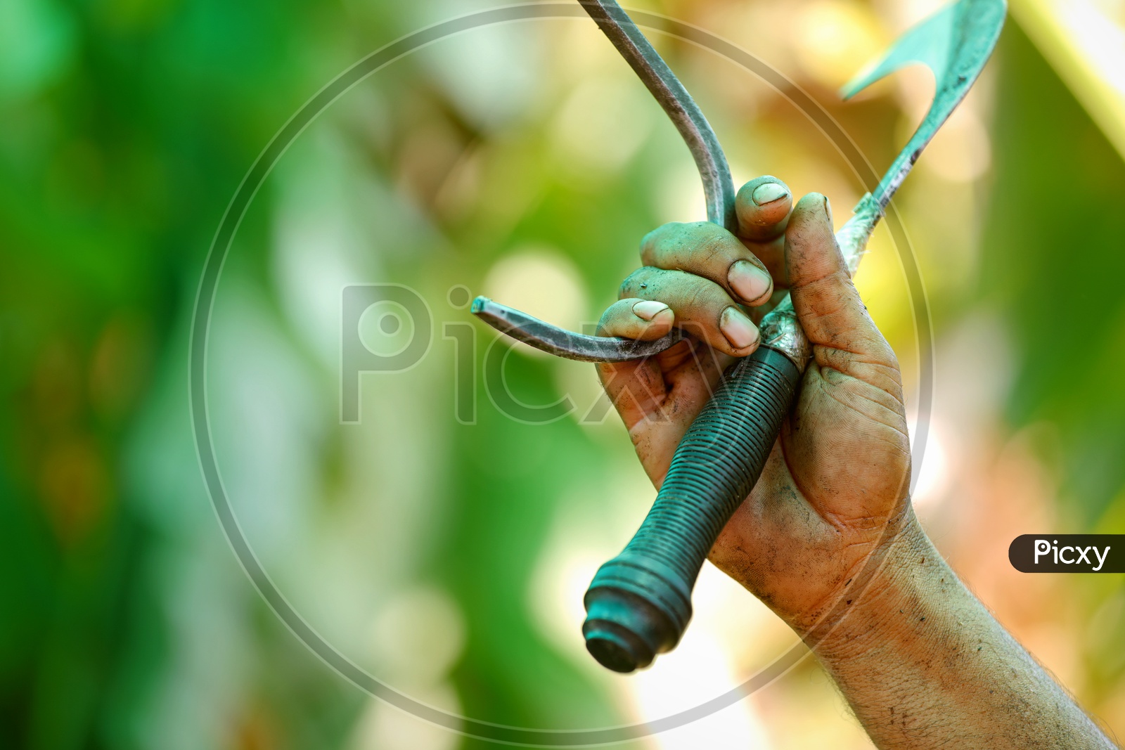 A Farmer With Agricultural knife and Tools in Hand in Field