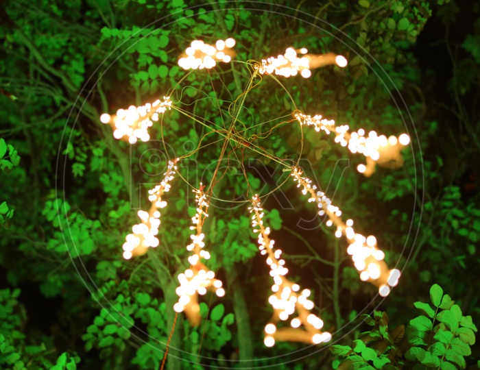 Lights Decoration in Indian Wedding