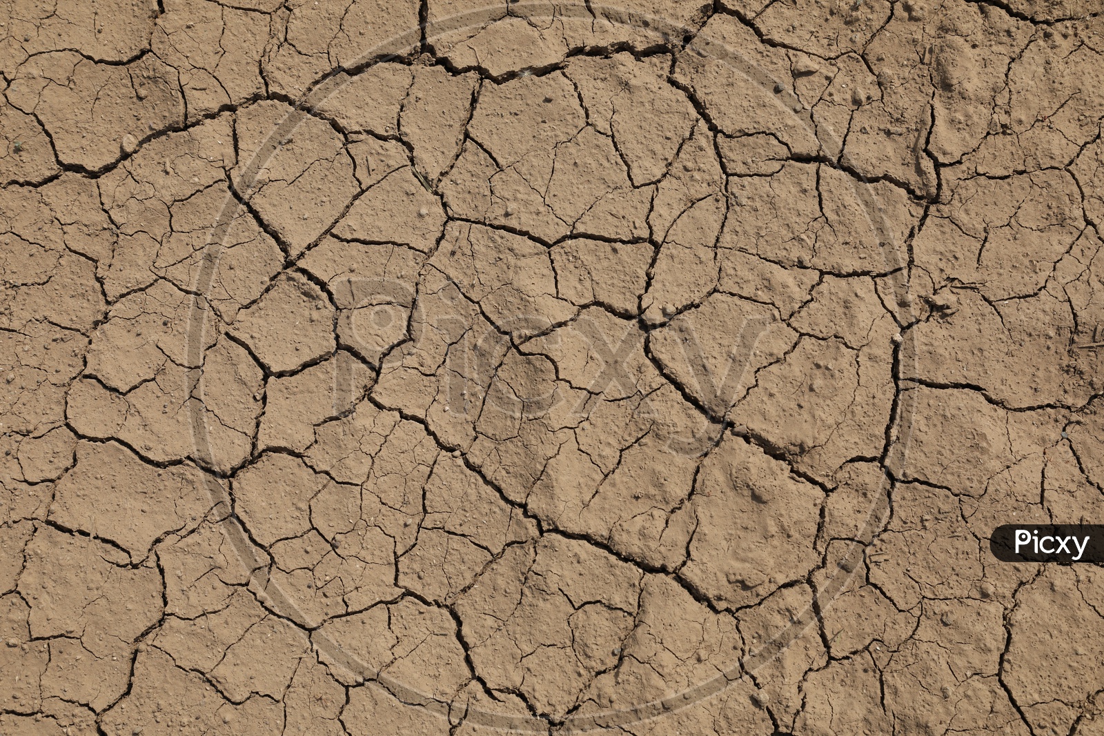 A Dried Agricultural Field with Cracks Formed on it Composition Shot Forming a Background