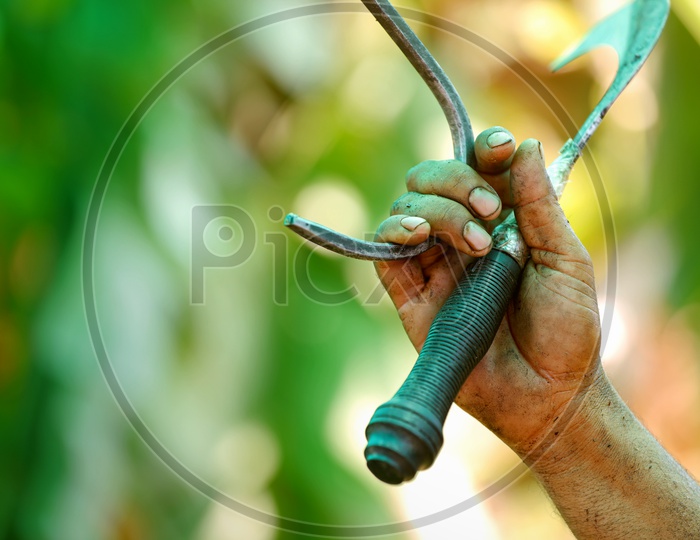 A Farmer With Agricultural knife and Tools in Hand in Field