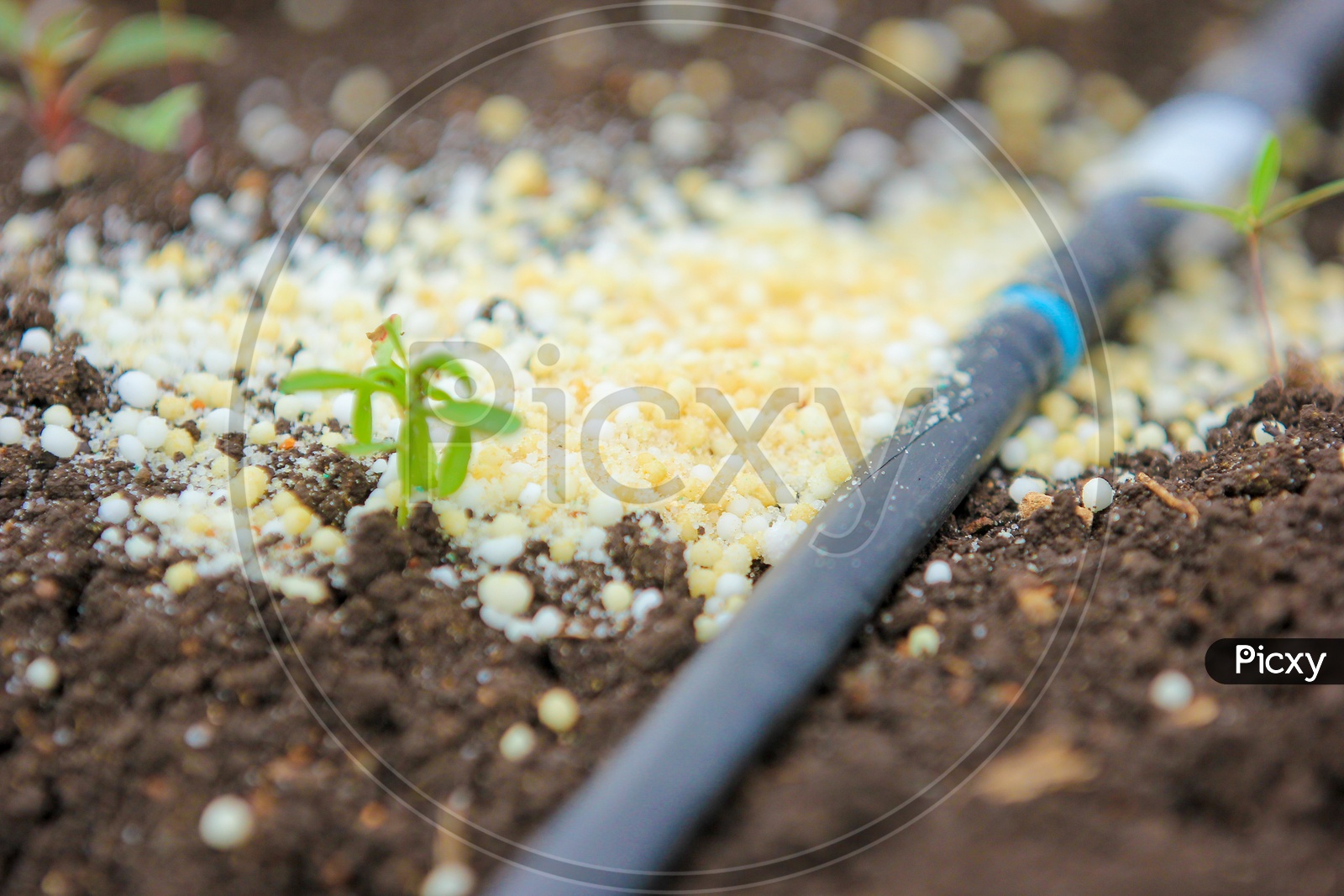 Granulated Fertilizers on Soil Closeup Shot