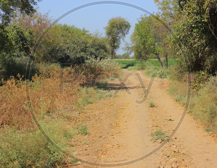 Path Ways in Agricultural Fields