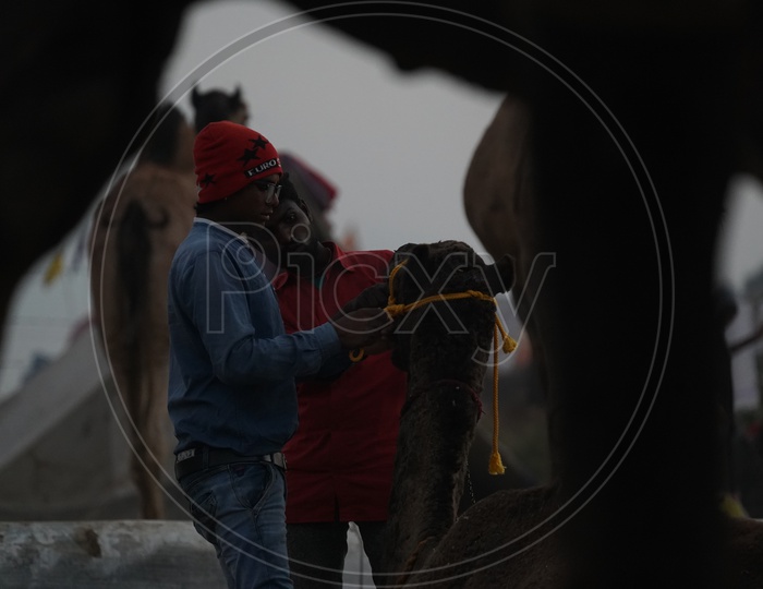 Local People  in Pushkar Camel Fair