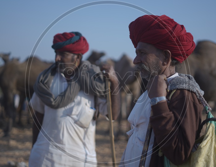 Rajasthani Men in Traditional Turban at Pushkar Camel Fair