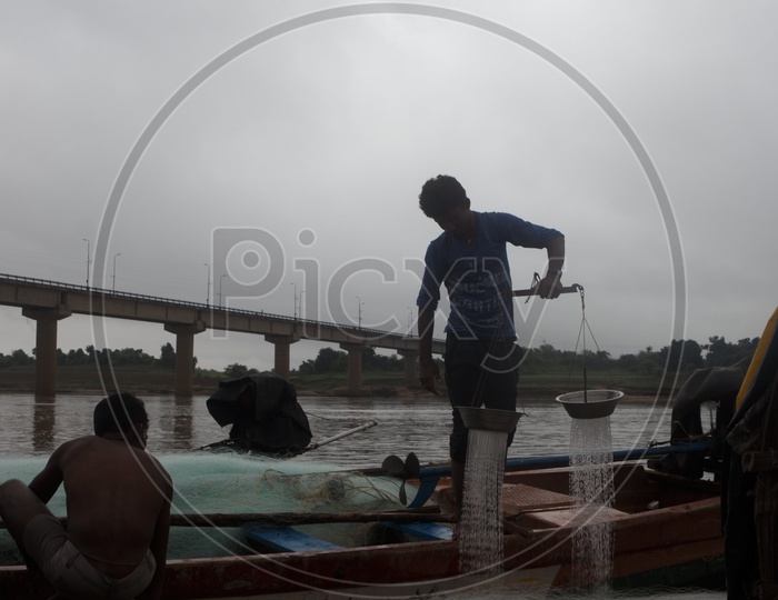 A Man weighing fishes on the bank of Godavari.