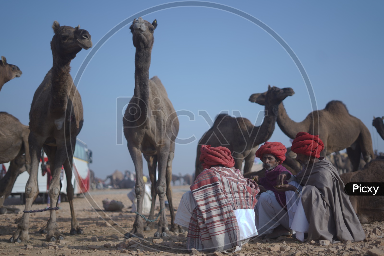 Rajasthani Men eating at Pushkar Camel Fair