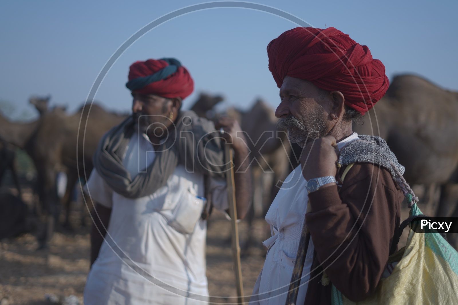 Rajasthani Men in Traditional Turban at Pushkar Camel Fair