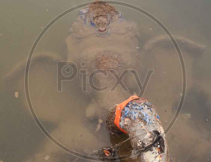 Ganesh idol after the immersion on the bank of river godavari.