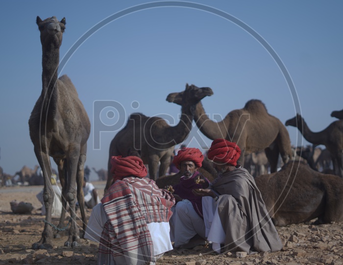 Rajasthani Men eating at Pushkar Camel Fair