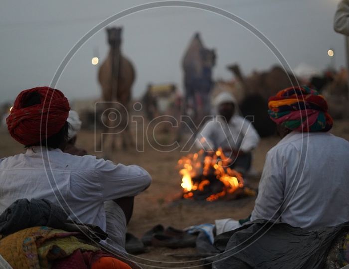Rajasthani Men at Camp fire with Camels at Pushkar Camel Fair, 2018