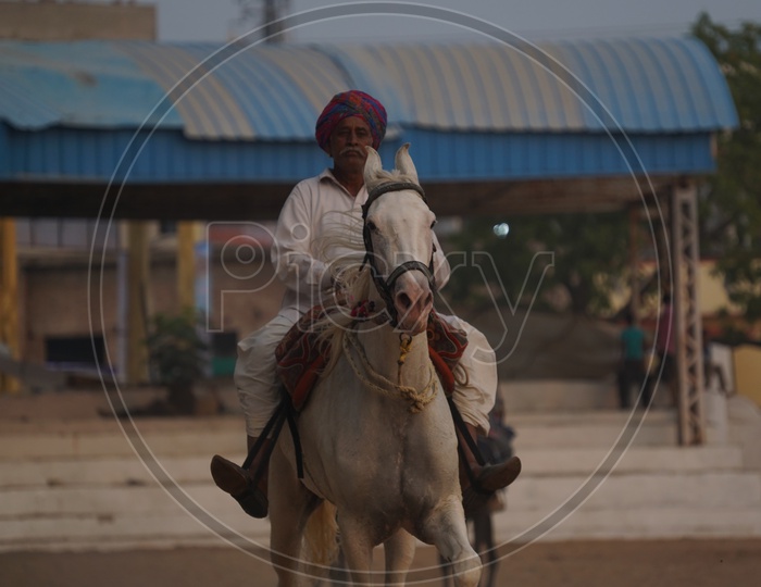 Rajastani Man riding a Horse at Pushkar Camel Fair, 2018