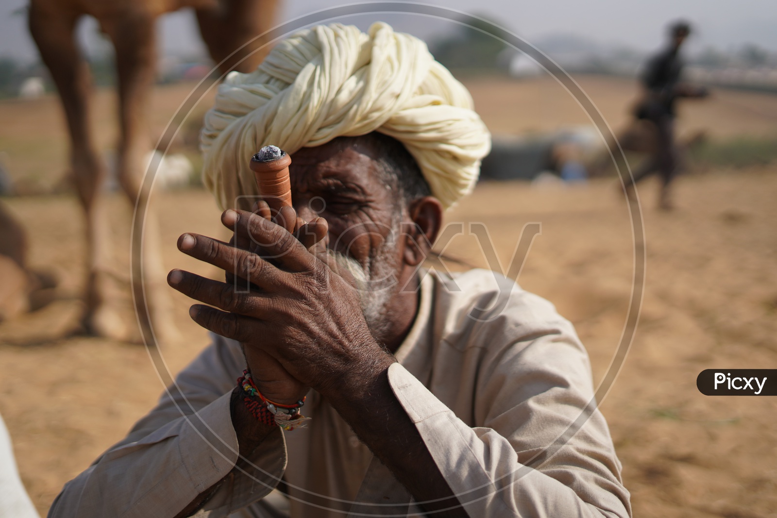 A Rajasthan Old Man Smoking Marijuana  / Ganja in Pushkar Camel Fair