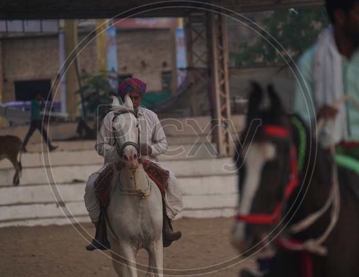 Rajastani Man riding a Horse at Pushkar Camel Fair, 2018