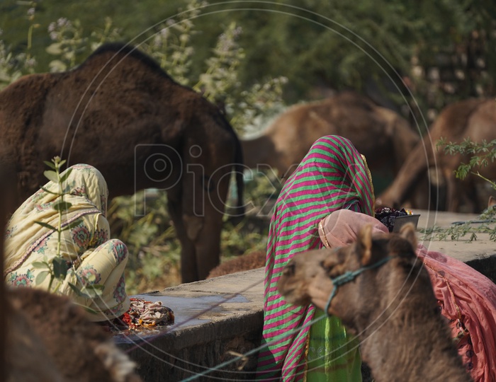Rajasthani Woman Washing Clothes in Pushkar Camel Fair