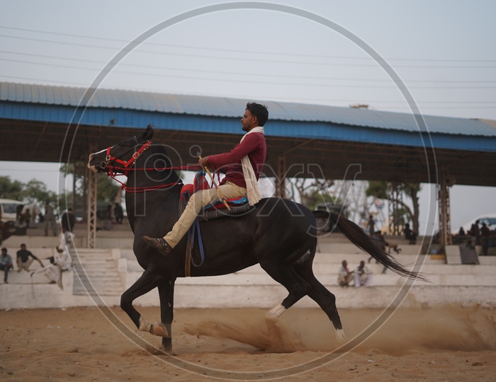 Man riding Horse at Pushkar Camel Fair, 2018