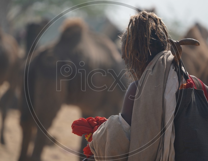 A Sadhu / Baba   in Pushkar Camel Fair