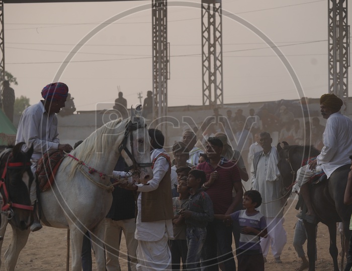 People watching Indian Village Horse Riders in Pushkar Camel Fair Ground,Pushkar, Rajasthan, India