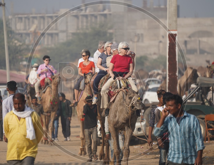 Foreigners Riding on Camels  in Pushkar Camel Fair