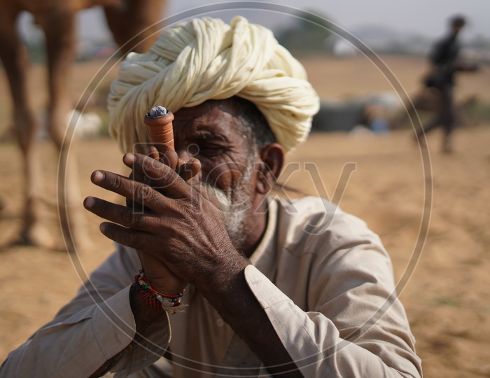 A Rajasthan Old Man Smoking Marijuana  / Ganja in Pushkar Camel Fair
