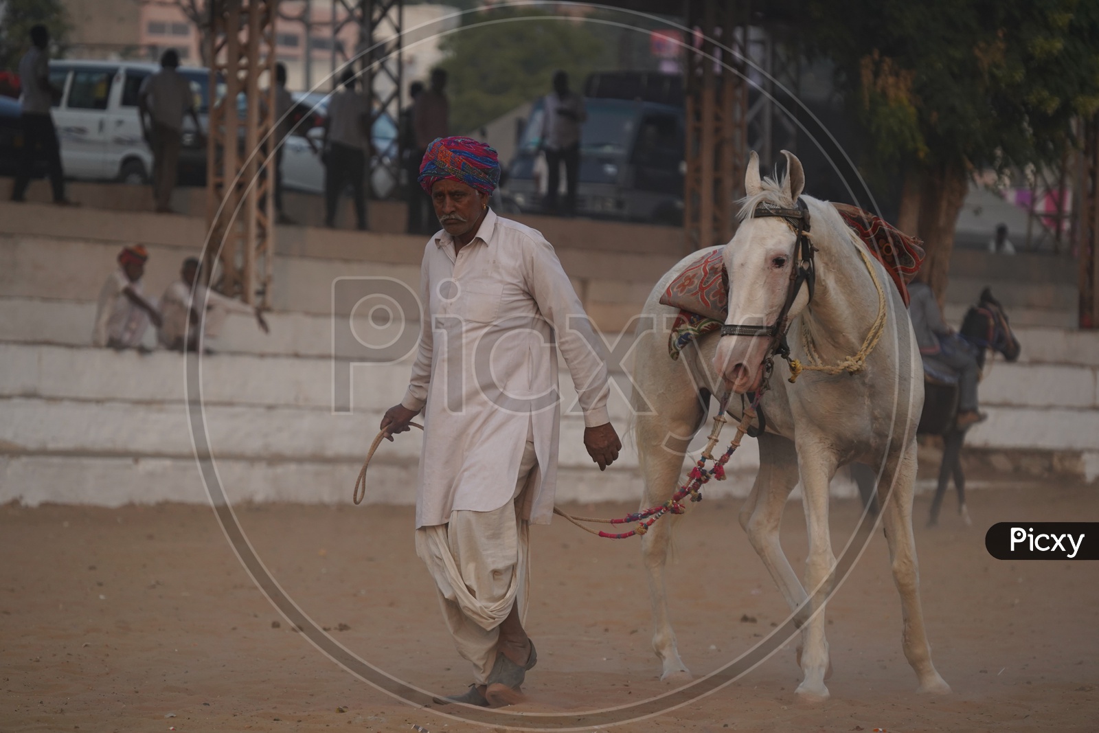 An Old Man With His White Horse in Pushkar Camel Fair