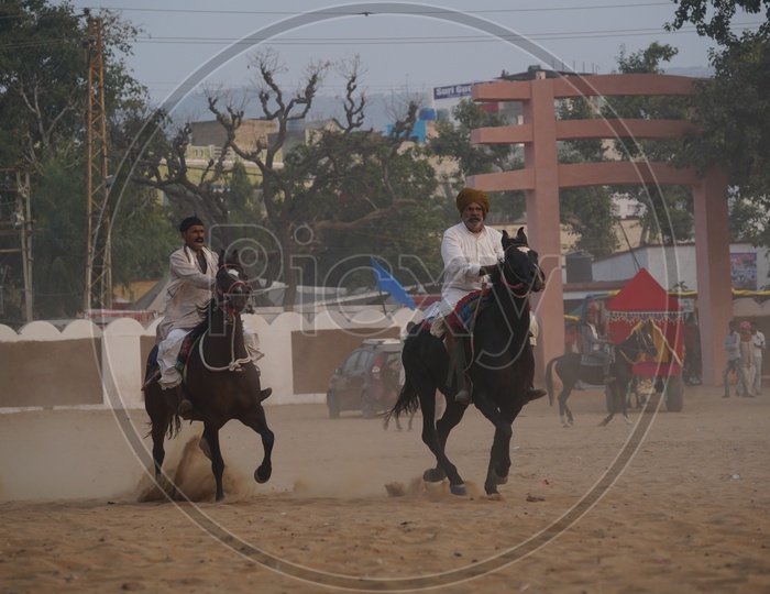 Horse race traditional racing in Pushkar Camel Fair / Pushkar Cattle Fair
