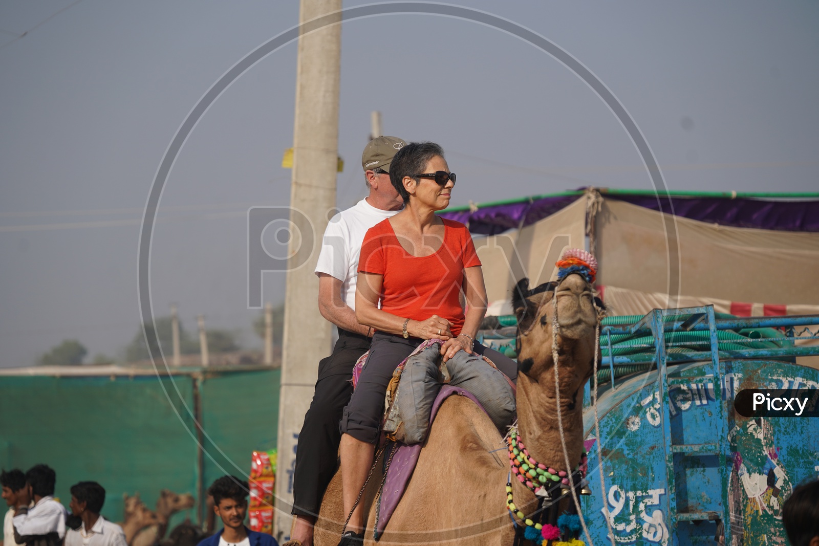 Foreigners Riding on Camels  in Pushkar Camel Fair