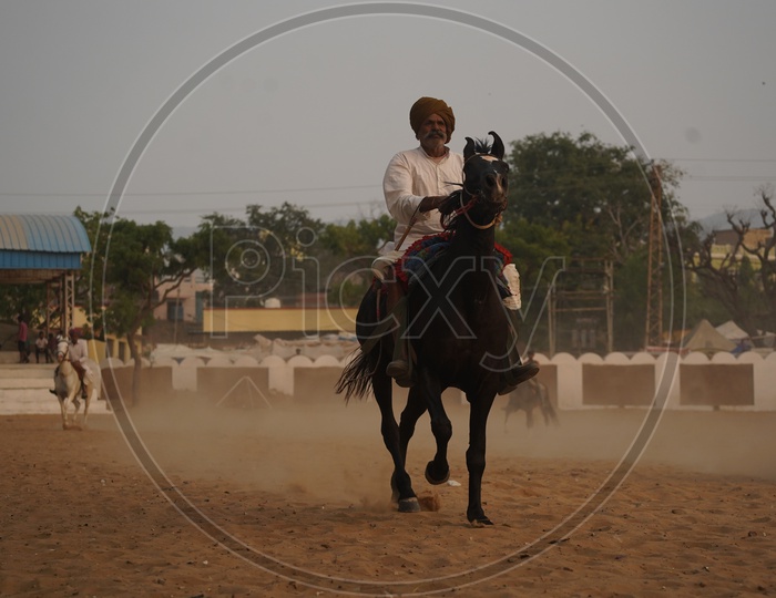 Indian Village Horse Riders in Pushkar Camel Fair Ground