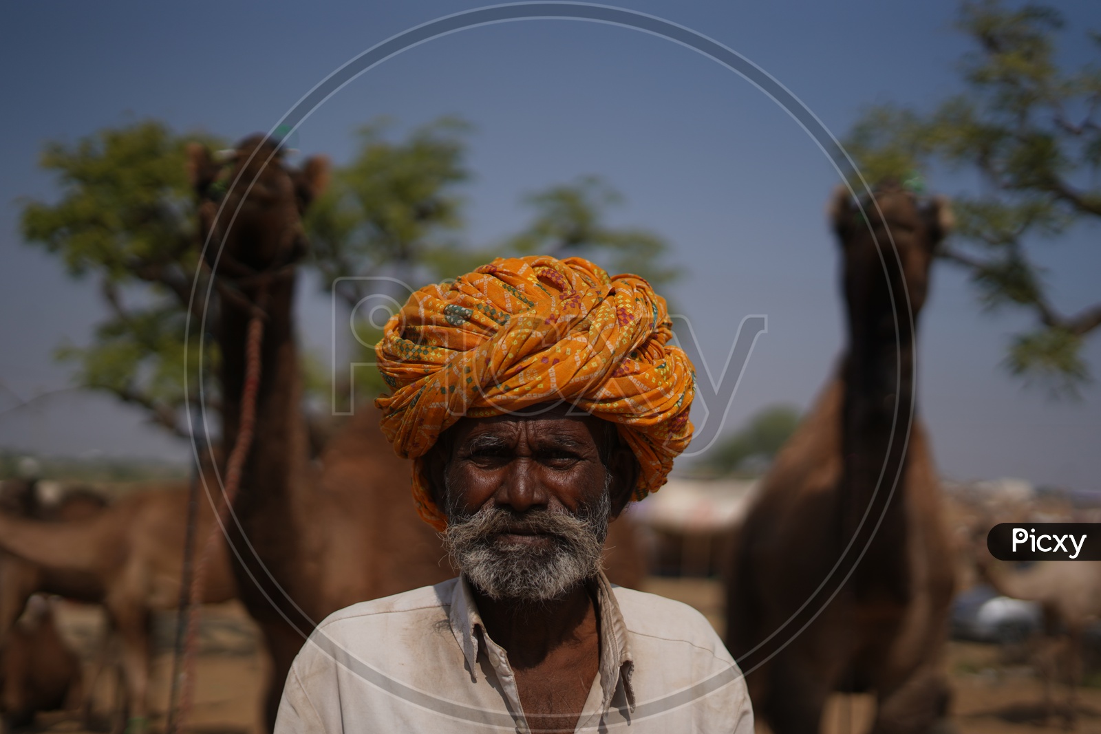 A portrait of a man at Pushkar Camel Fair / Pushkar Cattle Fair / Pushkar Camel Mela