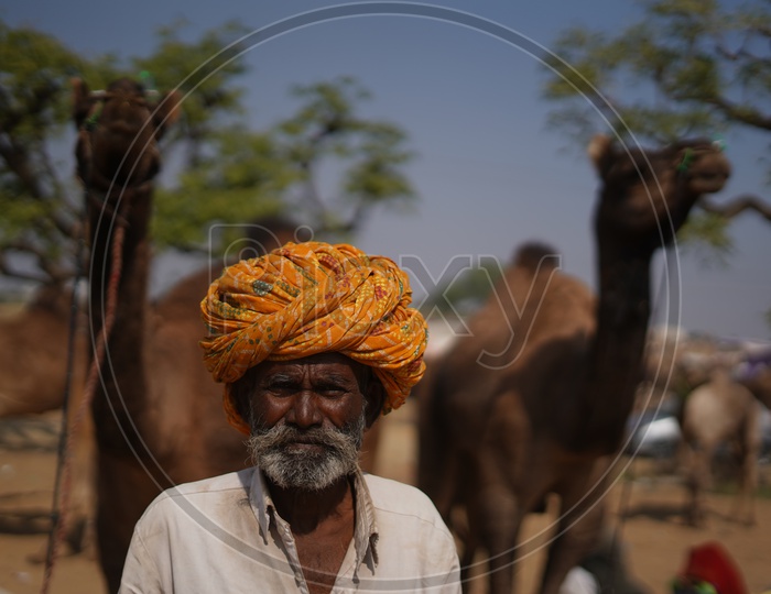 Portrait of a Man in Pushkar Camel Fair / Pushkar Cattle Fair / Pushkar Camel Mela