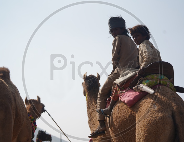 Kids experiencing Camel ride at Pushkar Camel Fair, Pushkar, Rajasthan, India