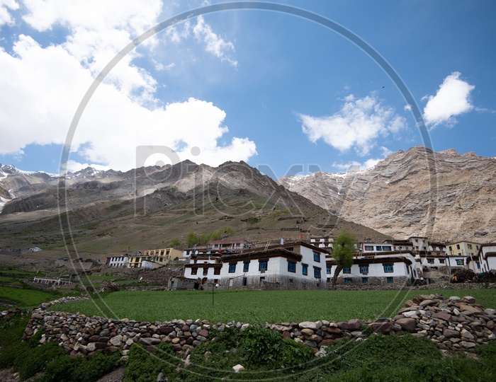 Beautiful Snow Capped Mountains of Spiti Valley with Greenery in the foreground