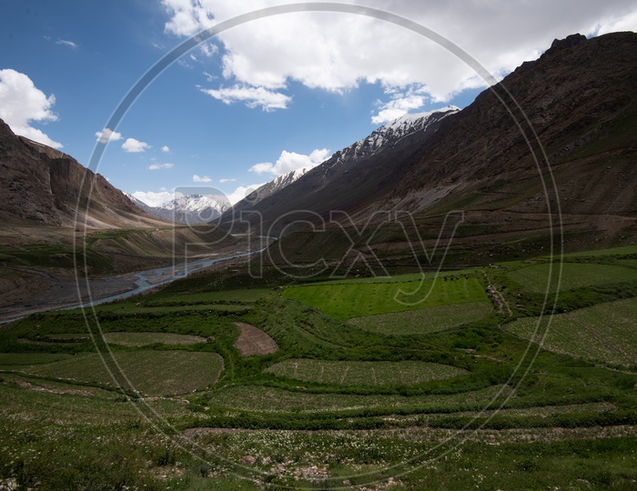 Beautiful Snow Capped Mountains of Spiti Valley with Greenery in the foreground
