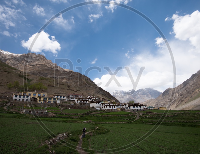 A Village in leh / Ladakh with Agricultural Farms in Foreground and Sand dunes and sky  in Backdrop