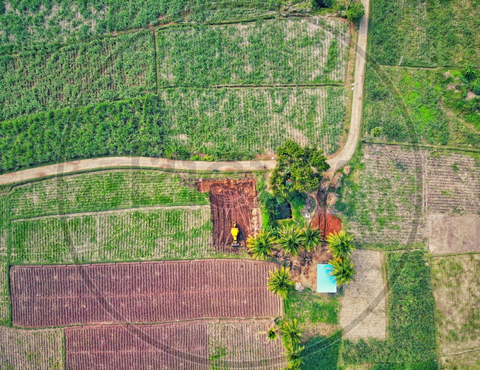 Agriculture Fields Ariel View