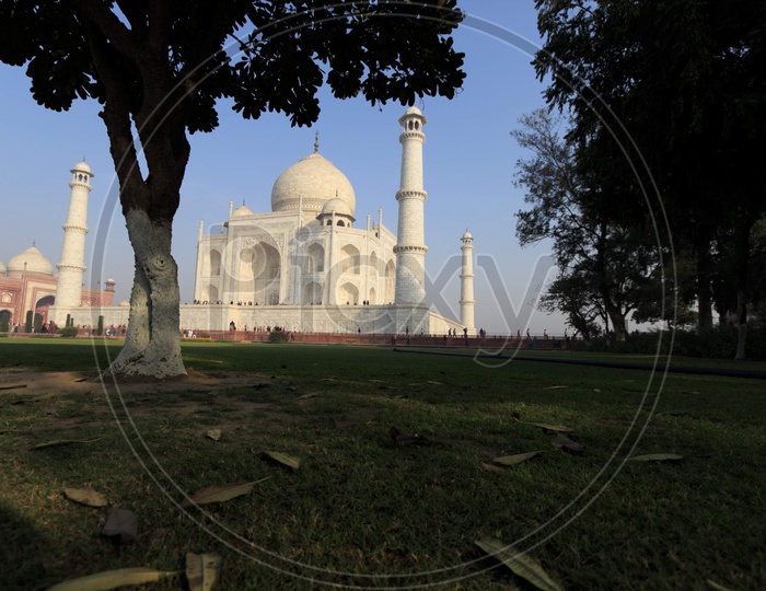 Taj Mahal/ 7 Wonders Of the World / Heritage Of India/ Ancient Monuments India