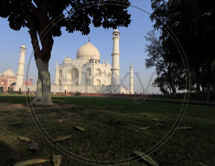 Taj Mahal/ 7 Wonders Of the World / Heritage Of India/ Ancient Monuments India