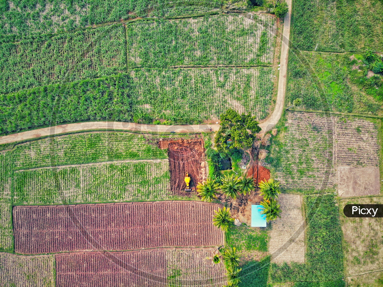 Agriculture Fields Ariel View