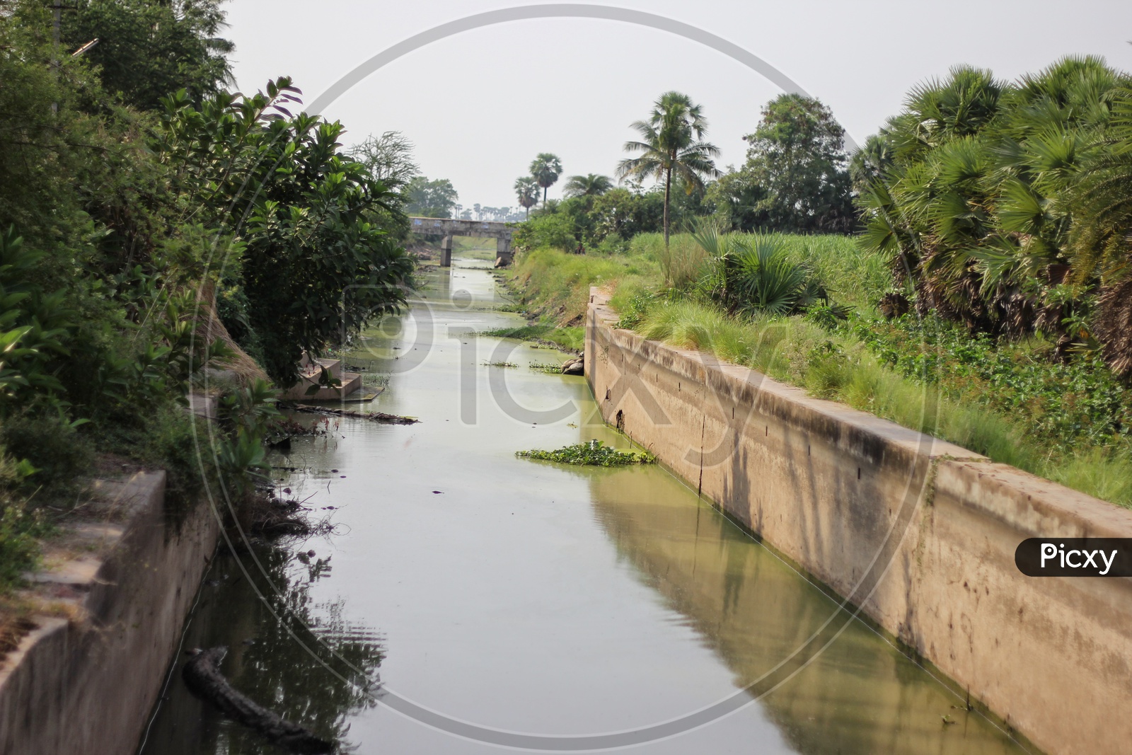 Image of Water Canal in Meduru-DT665129-Picxy