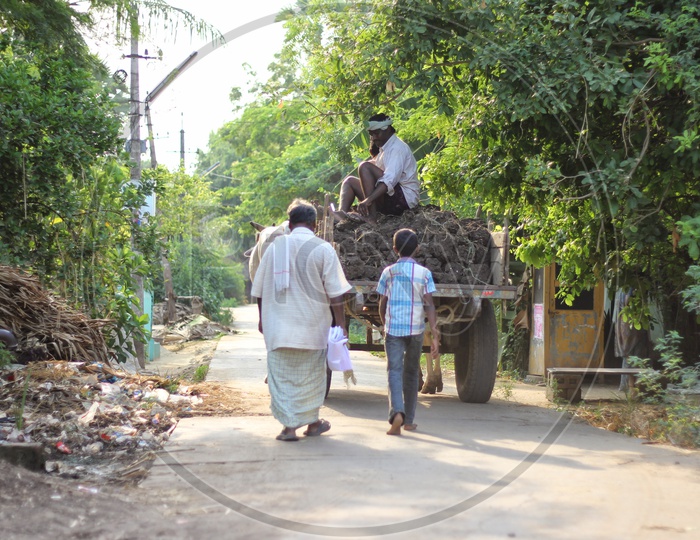 A Father And Son Walking along The Streets Of Village In Andhra Pradesh With a Bullock Cart  in Front of them